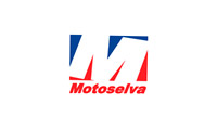Logo Item